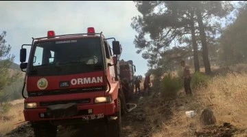 Nurdağı'nda korkutan orman yangın