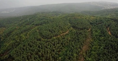 Orman Sınırları Düzenlemesi Hakkında İddialara Yanıt
