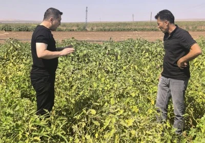 Özdemir’den Aşırı Sulama ve Kırmızı Örümcek Uyarısı