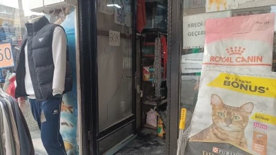 Papağan için hırsızlık yaptılar