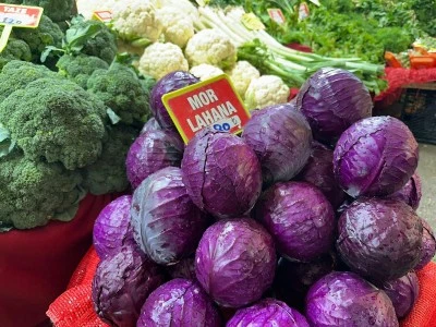 Pazarda 80 Lira, Tarlada 5 Lira