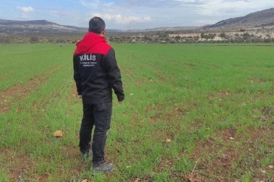  Polateli İl&ccedil;esinde Tarım Alanlarında S&uuml;rvey &Ccedil;alışmaları S&uuml;r&uuml;yor