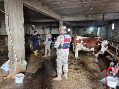 Polateli&rsquo;nde Kurban Bayramı &Ouml;ncesi Jandarmadan Hırsızlık ve Dolandırıcılık Uyarısı! 
