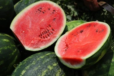 &quot;Belediyeler karpuzları çiftçilerden alıp halka dağıtmalı&quot;