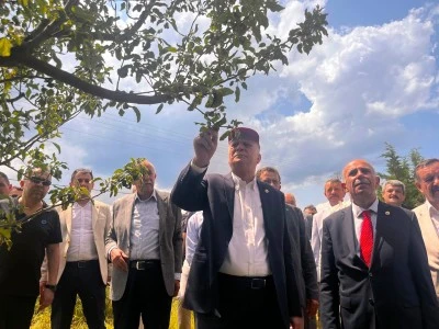 &quot;Don felaketi 65 ilde ürünlere büyük zarar verdi”