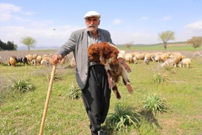&quot;Hayvanlarım hem geçim kaynağım hem dostum&quot;