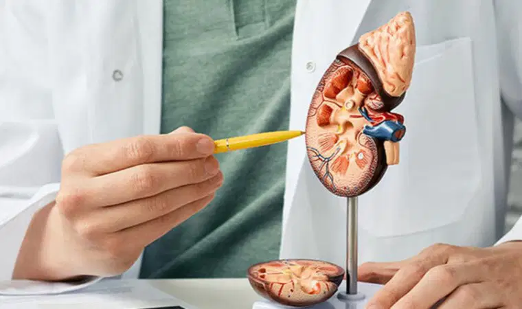 Ramazan'da b&ouml;brek sağlığı i&ccedil;in kritik uyarılar