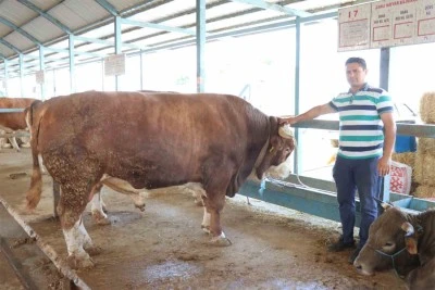 Rekor fiyatla satıldı!