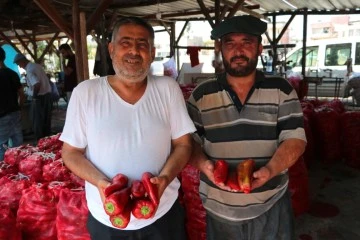 Salça sezonu başladı!