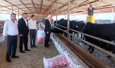 “Şap virüsü daha ölümcül ve tehlikeli boyutta seyrediyor&quot;