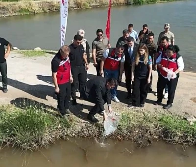 Sapkanlı G&ouml;leti'ne Binlerce Yavru Balık Bırakıldı: 50 Bin Balık Daha Bırakılacak