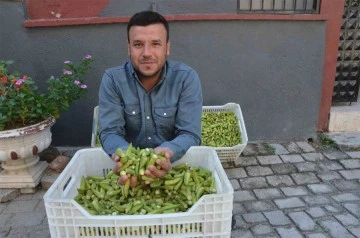 Şehrin ekonomisine 5 ayda 50 milyon katkı sağlıyorlar