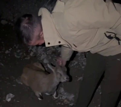 Siz olsaydınız ne yapardınız