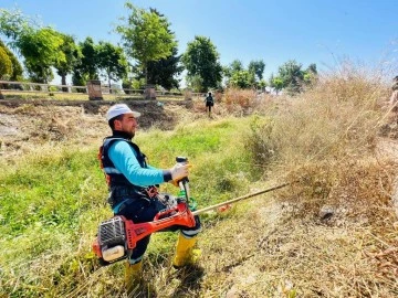 Söğütlüdere piknik alanında yaz temizliği