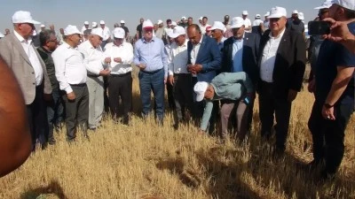 Su Yok, Ürün Yok! Kilis’te Kuraklık Ekonomiyi de Vurdu