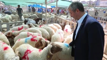 Tahmazoğlu: “Fahiş fiyata karşıyız!”