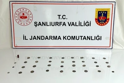 Tarihi eser operasyonu: 2 gözaltı