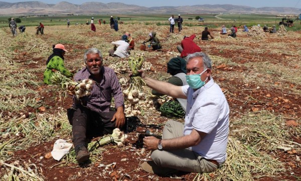 TARIM İŞÇİLERİNİN BAYRAM MESAİSİ