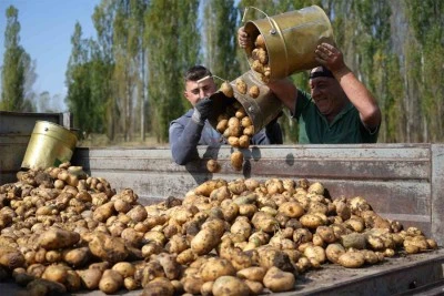 Tarım-ÜFE yıllık % 50,31 arttı, aylık % 18,82 arttı