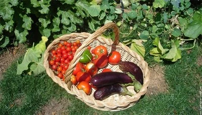 Tarımsal girdi fiyat endeksi yıllık yüzde 30,49 arttı