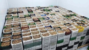 TARİŞ kuru incir fiyatlarını güncelledi