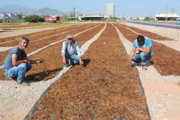 Tariş kurum üzüm taban fiyatını  açıkladı