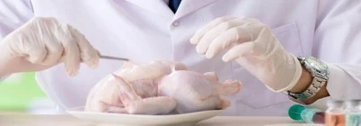 Tavuk Zehirlenmesi Nedir? Tavuk Zehirlenmesi Belirtileri Nelerdir?