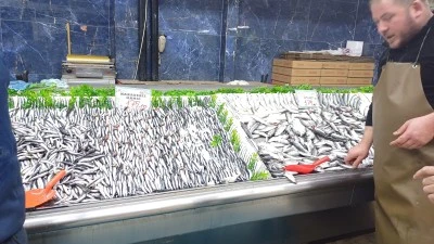 Tezgahlarda palamut yok, hamsi bol