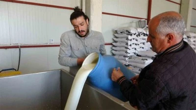 Ticari süt işletmelerince 857 bin 821 ton inek sütü toplandı