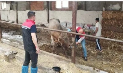 Tüm ilde hayvan pazarları kapatıldı!