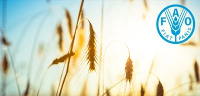 Türkiye, FAO konsey üyeliğine seçildi