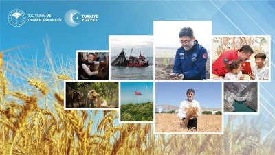 Türkiye tarımsal hasılada rekor kırarak dünyada ilk 7 ülke arasına girdi