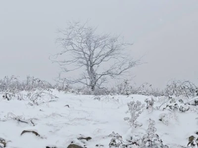 Ülke genelinde kar yağışları başladı: “Kış erken mi geldi?”