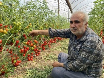 Üreticiden fiyat farkına tepki!
