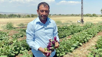 “Ürettikçe Batıyoruz!” Kilisli Çiftçilerin Feryadı