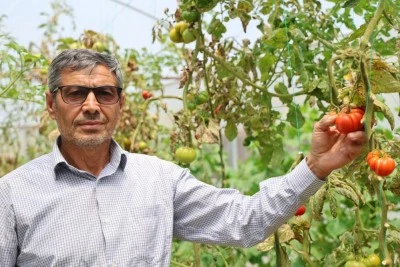 Ürünlerini aracısız satınca yüzü güldü