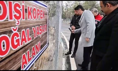 Vali Kalaylı İnceledi: Kilis&rsquo;te Sokak Hayvanları İ&ccedil;in &Ouml;rnek Proje