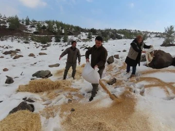 YABAN HAYVANLARI İÇİN DOĞAYA YEM BIRAKTILAR