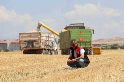 Yağışların azalması, çiftçileri olumsuz etkiledi
