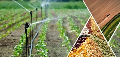 Yaklaşık 275 milyon liralık tarımsal destekleme ödemesi hesaplara aktarılıyor
