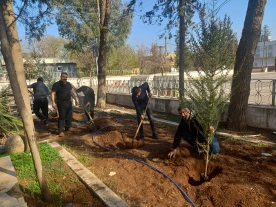Yavuzlu’da ‘kendi ağacını kendin dik’ seferberliği