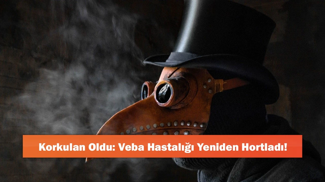 Bir bu eksikti! Yeni salgın patlak verdi!