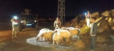 Yenideğirmen köyünde Sevindiren Son Jandarma Sahibine Teslim Etti. 