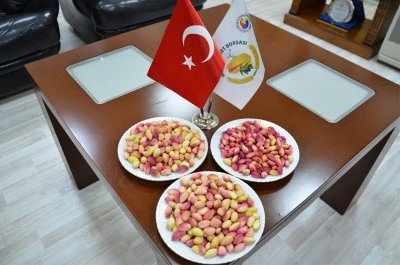 Yılın ilk mahsul kırmızı fıstığı altınla ödüllendirildi