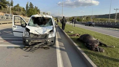 Yola fırlayan ata sivil polis otosu çarptı