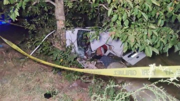 Yola fırlayan domuza çarpan araç zeytinliğe uçtu: 2 ölü