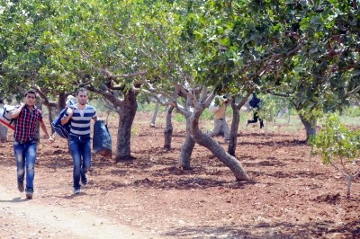 Yurt dışından Türkiye'ye en çok hangi ülkenin vatandaşları göç etti?