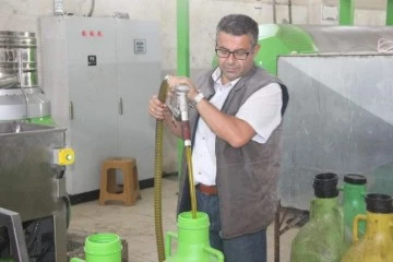 Zeytin`de rekolte çok düşük