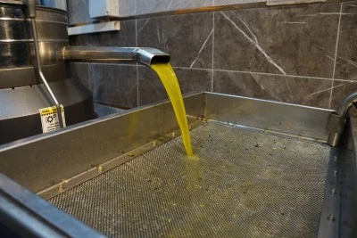 Zeytinyağı alım fiyatı arttı: TARİŞ yeni rakamları a&ccedil;ıkladı