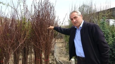 Zirai don binlerce meyve fidanını da vurdu